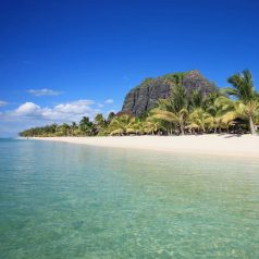 Mauritius weather in February 2025 | 101 Holidays